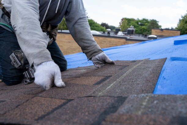 Best Storm Damage Roof Repair  in Cedar Mill, OR