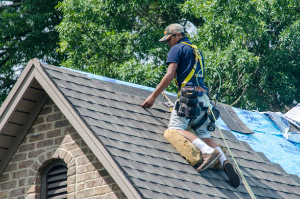 Quick and Trustworthy Emergency Roof Repair Services in Cedar Mill, OR